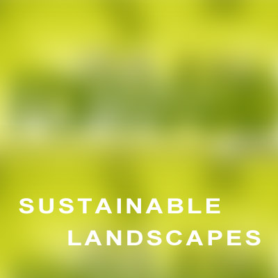 SUSTAINABLE LANDSCAPES CURRENT SCENARIO & WAY FORWARD, AUG 2014