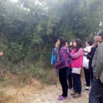 Walk Series<br>Yamuna Biodiversity Park - 2015-2016