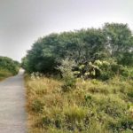 Delhi Walks<br> Aravalli Biodiversity Park - 2016-17