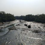 Mangrove Walk , Mumbai <br>On: 6 January, 2018