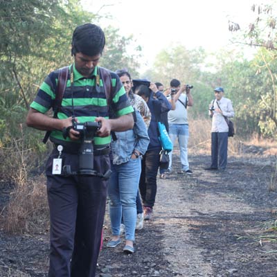 Mangrove Walk - 6th Jan 2018