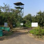 Mangrove Walk , Mumbai <br>On: 6 January, 2018