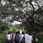 A WALK IN THE VALLEY SCHOOL , Bangalore <br>On: 22 June, 2019