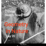 21 Days SketchDown , Online <br>On: 25 March, 2020